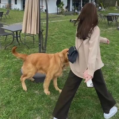 骷髅舞